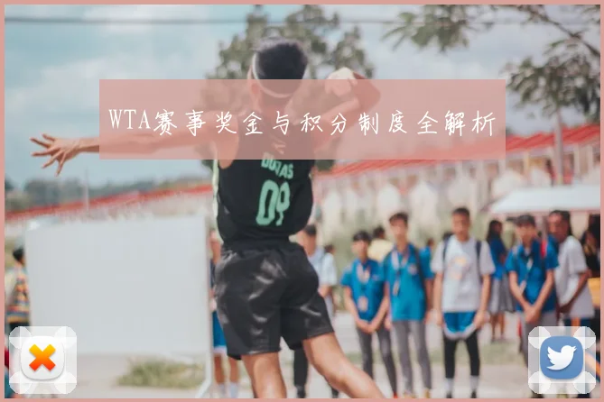 WTA赛事奖金与积分制度全解析