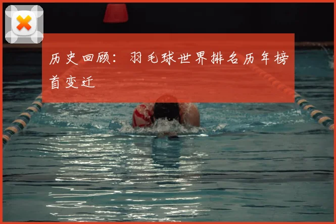历史回顾：羽毛球世界排名历年榜首变迁