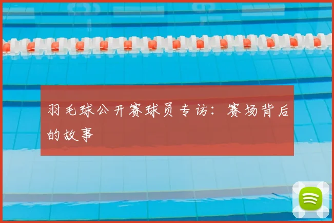 羽毛球公开赛球员专访：赛场背后的故事