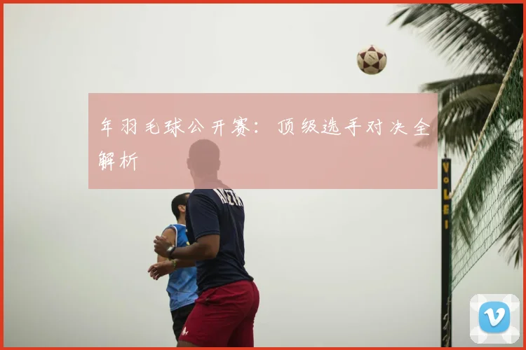 年羽毛球公开赛：顶级选手对决全解析