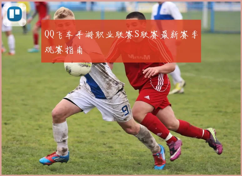 QQ飞车手游职业联赛S联赛最新赛季观赛指南