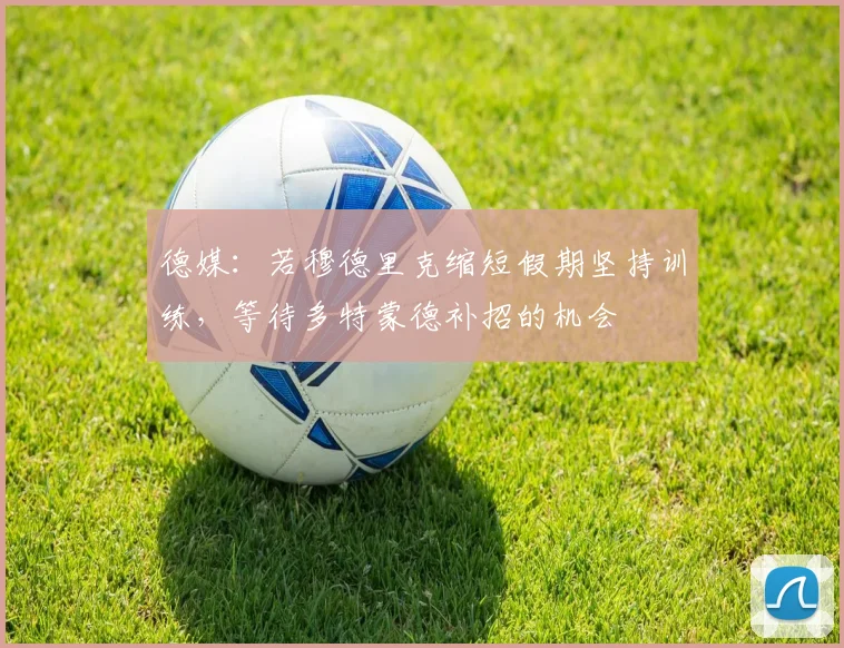 德媒：若穆德里克缩短假期坚持训练，等待多特蒙德补招的机会