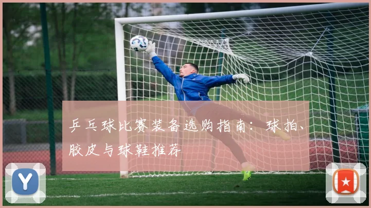 乒乓球比赛装备选购指南：球拍、胶皮与球鞋推荐